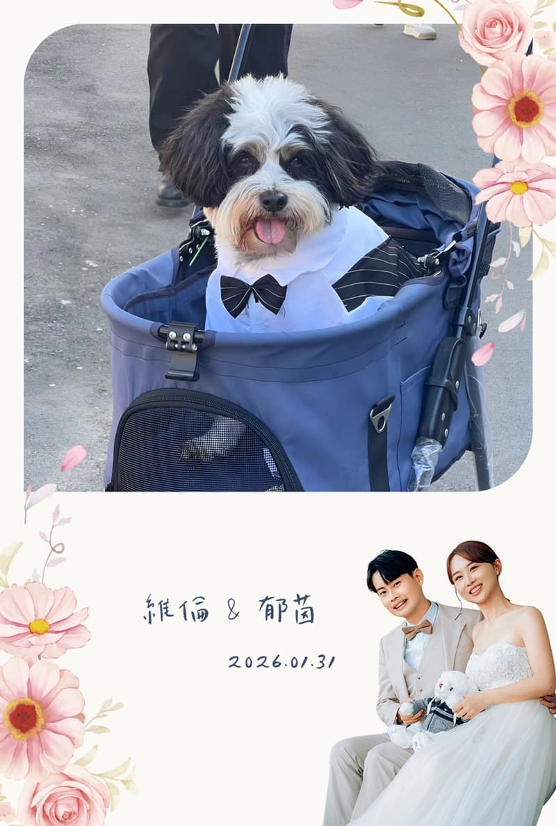 213b94170787ba32b167fe6153ade335_c516e70a1d907152403c42e0684f866bb3e2be17