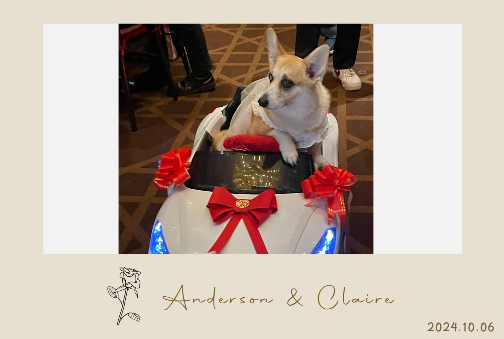 #推薦文#拍拍印