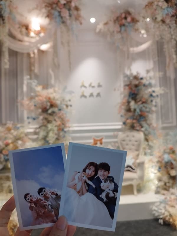 都對拍拍印留下很好的印象❤️